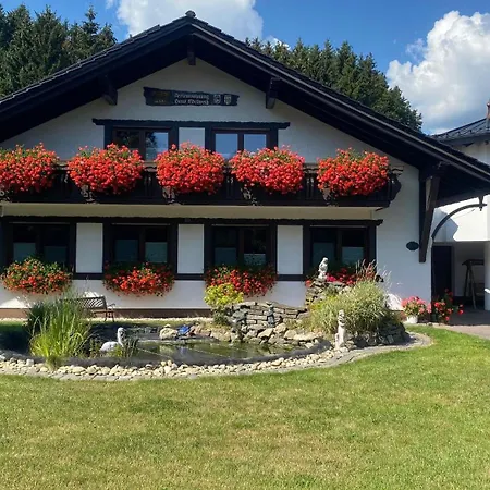 Lejlighed Haus Edelweiss Winterberg