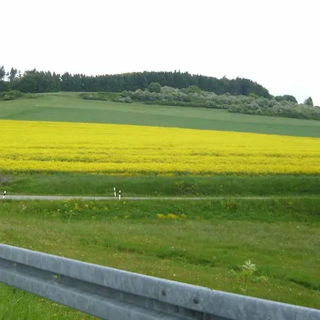 Haus Edelweiss Apartment *