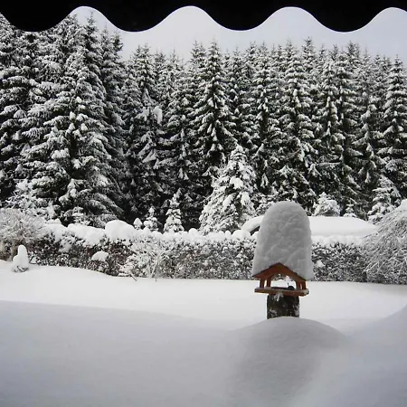 Haus Edelweiss Appartement *