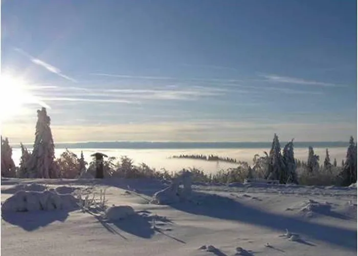 Haus Edelweiss Διαμέρισμα Βίντερμπεργκ